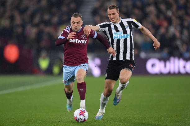 小蜘蛛的灵 小蜘蛛的灵