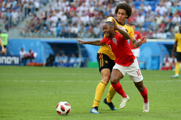 的庞大图景 的庞大图景