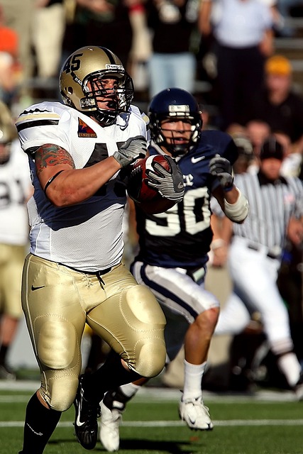 队员不仅仅 队员不仅仅